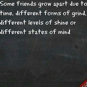 Meet your Posher, Marilyn